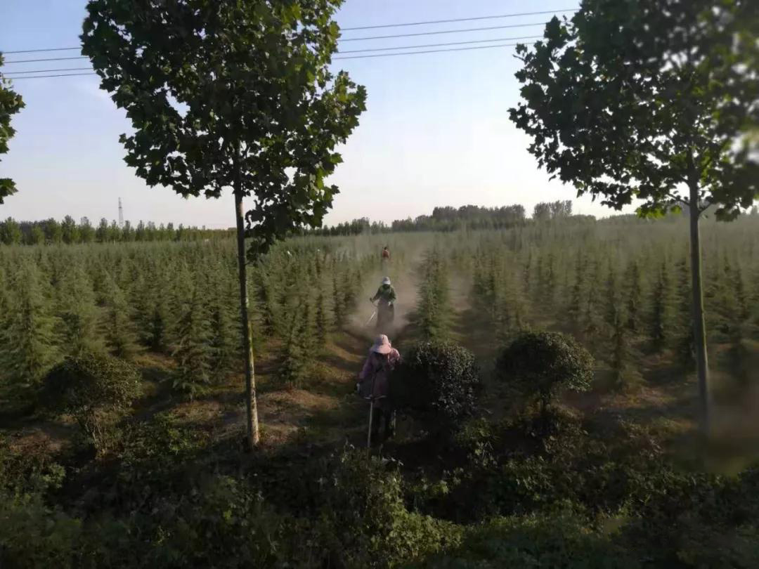 bb电子游戏官网(中国游)官方网站