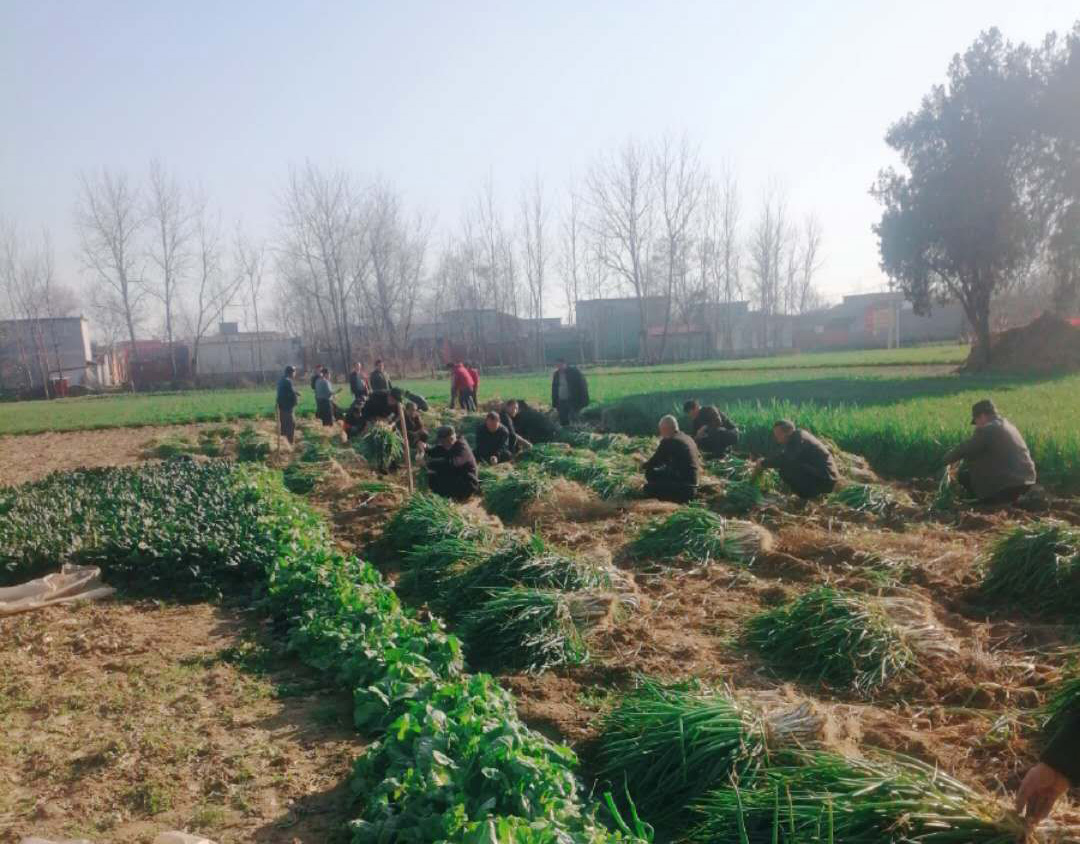 bb电子游戏官网(中国游)官方网站